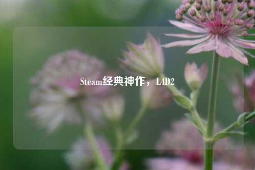 Steam经典神作,L4D2