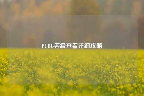 PUBG等级查看详细攻略