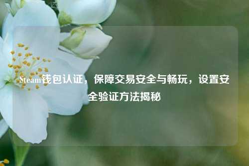 Steam钱包认证,保障交易安全与畅玩,设置安全验证方法揭秘