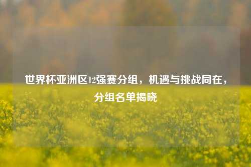 世界杯亚洲区12强赛分组，机遇与挑战同在，分组名单揭晓