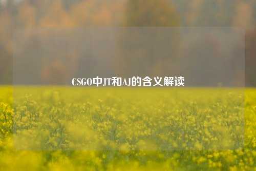 CSGO中JT和AJ的含义解读