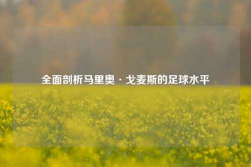 全面剖析马里奥·戈麦斯的足球水平