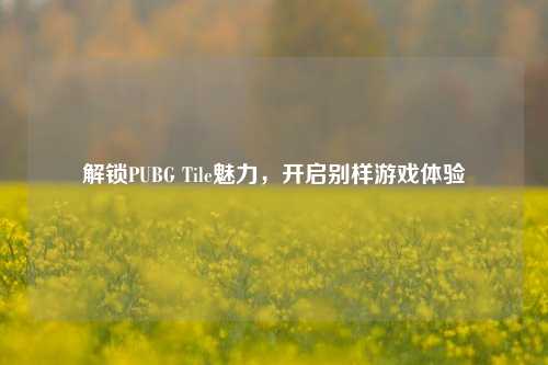 解锁PUBG Tile魅力,开启别样游戏体验