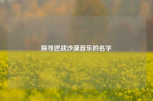 探寻逆战沙漠音乐的名字