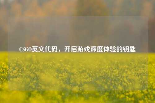 CSGO英文代码，开启游戏深度体验的钥匙