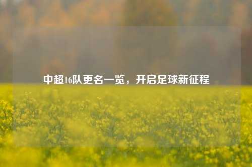 中超16队更名一览,开启足球新征程
