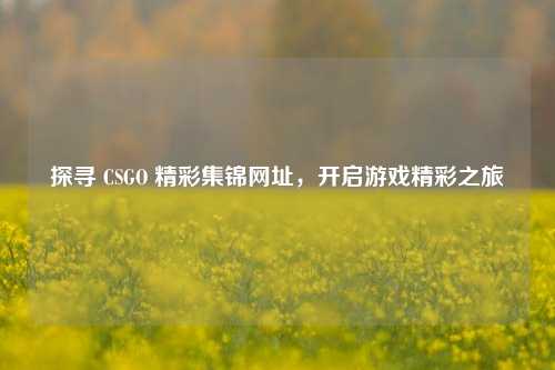 探寻 CSGO 精彩集锦网址,开启游戏精彩之旅