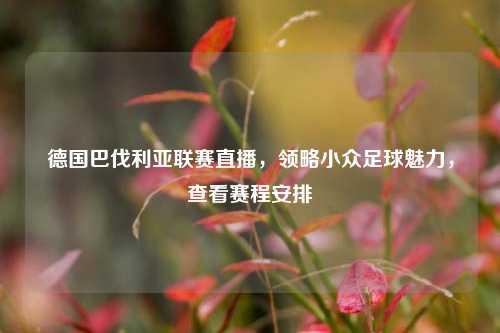 德国巴伐利亚联赛直播,领略小众足球魅力,查看赛程安排