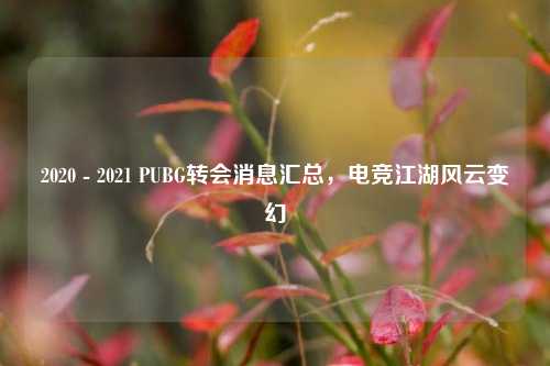 2020 - 2021 PUBG转会消息汇总,电竞江湖风云变幻