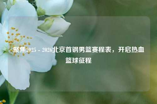 聚焦2025 - 2026北京首钢男篮赛程表,开启热血篮球征程