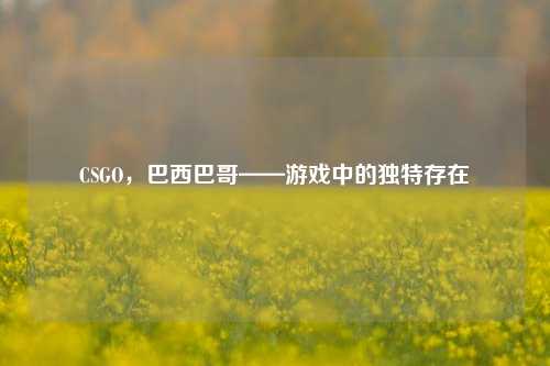 CSGO,巴西巴哥——游戏中的独特存在