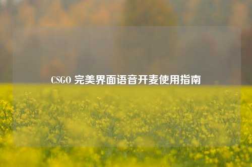 CSGO 完美界面语音开麦使用指南