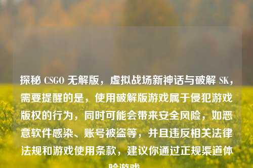 探秘 CSGO 无解版,虚拟战场新神话与破解 SK,需要提醒的是,使用破解版游戏属于侵犯游戏版权的行为,同时可能会带来安全风险,如恶意软件感染、账号被盗等,并且违反相关法律法规和游戏使用条款,建议你通过正规渠道体验游戏。