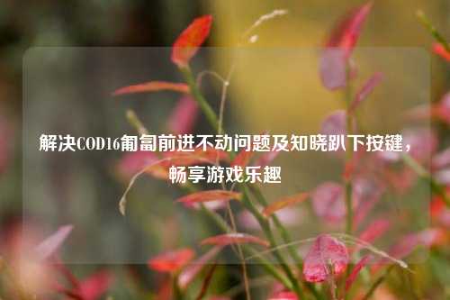 解决COD16匍匐前进不动问题及知晓趴下按键,畅享游戏乐趣
