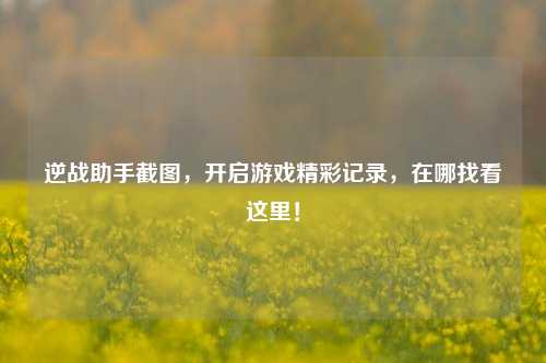 逆战助手截图,开启游戏精彩记录,在哪找看这里!