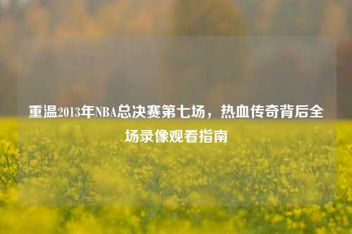 重温2013年NBA总决赛第七场,热血传奇背后全场录像观看指南