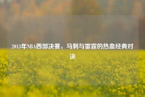 2013年NBA西部决赛，马刺与雷霆的热血经典对决