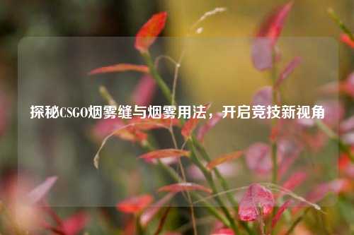探秘CSGO烟雾缝与烟雾用法,开启竞技新视角