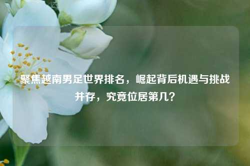 聚焦越南男足世界排名,崛起背后机遇与挑战并存,究竟位居第几?