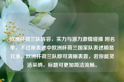 欧洲杯荷兰队阵容,实力与潜力激情碰撞 附名单,不过原表述中欧洲杯荷兰国家队表述稍显冗余,欧洲杯荷兰队即可清晰表意,若你能灵活采纳,标题可更加简洁流畅。