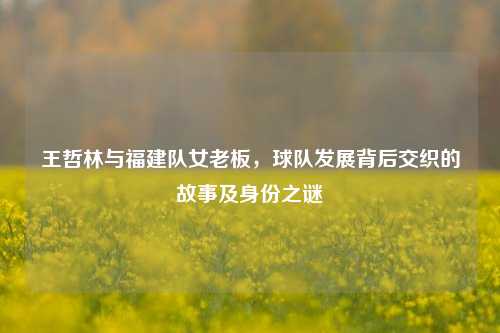 王哲林与福建队女老板,球队发展背后交织的故事及身份之谜
