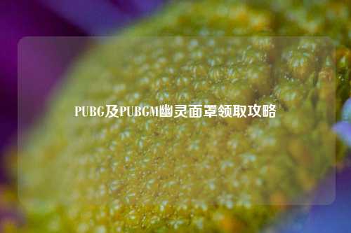PUBG及PUBGM幽灵面罩领取攻略