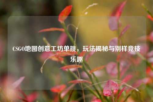 CSGO地图创意工坊单挑,玩法揭秘与别样竞技乐趣