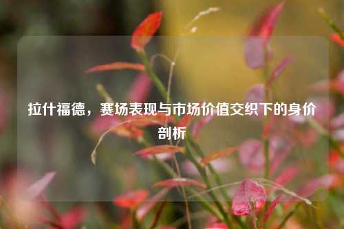拉什福德,赛场表现与市场价值交织下的身价剖析