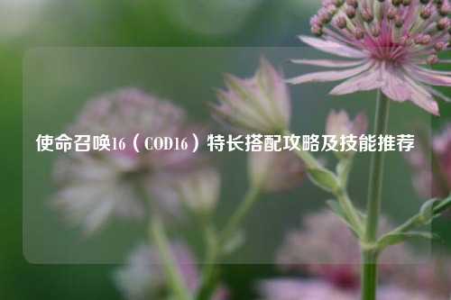 使命召唤16(COD16)特长搭配攻略及技能推荐