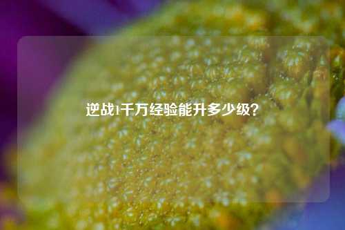 逆战1千万经验能升多少级?