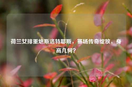 荷兰女排重炮斯洛特耶斯,赛场传奇绽放,身高几何?