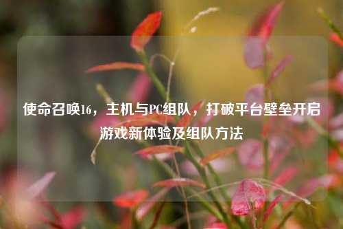 使命召唤16,主机与PC组队,打破平台壁垒开启游戏新体验及组队方法