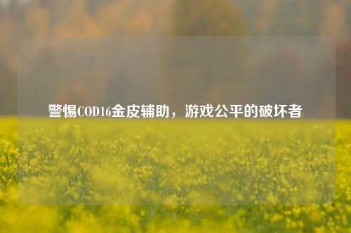 警惕COD16金皮辅助,游戏公平的破坏者