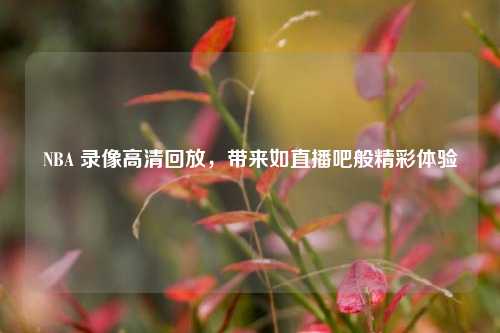 NBA 录像高清回放,带来如直播吧般精彩体验