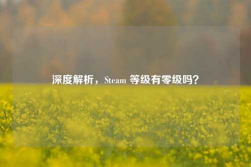 深度解析,Steam 等级有零级吗?