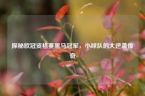 探秘欧冠资格赛黑马冠军,小球队的大逆袭传奇
