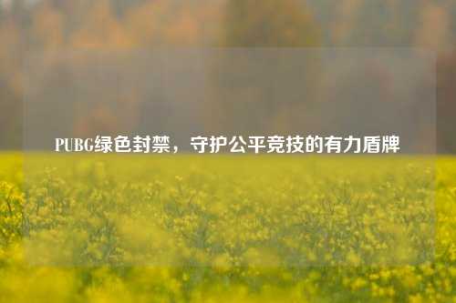 PUBG绿色封禁,守护公平竞技的有力盾牌
