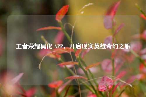 王者荣耀具化 APP,开启现实英雄奇幻之旅