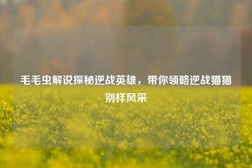 毛毛虫解说探秘逆战英雄,带你领略逆战猫猫别样风采