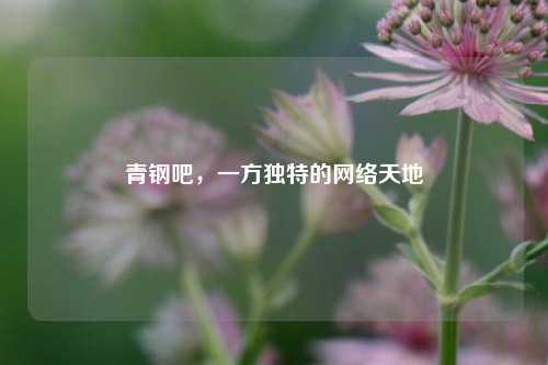 青钢吧,一方独特的网络天地