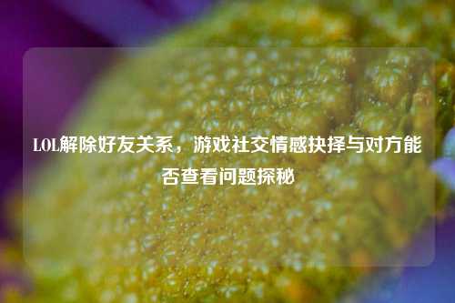 LOL解除好友关系，游戏社交情感抉择与对方能否查看问题探秘
