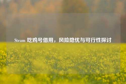 Steam 吃鸡号借用,风险隐忧与可行性探讨