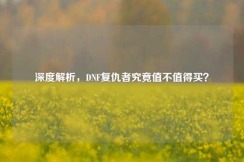 深度解析,DNF复仇者究竟值不值得买?