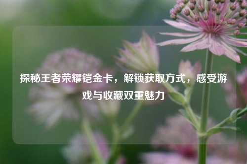 探秘王者荣耀铠金卡,解锁获取方式,感受游戏与收藏双重魅力