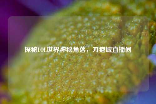 探秘LOL世界神秘角落，刀疤城直播间