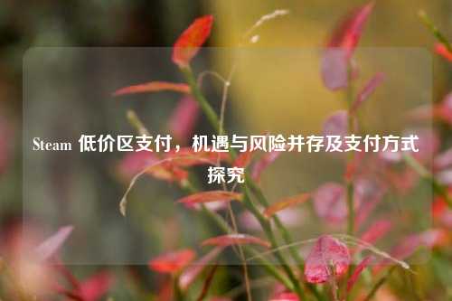 Steam 低价区支付,机遇与风险并存及支付方式探究