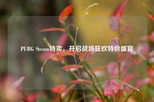 PUBG Steam特卖,开启战场狂欢特价盛宴