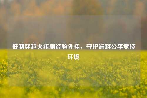 抵制穿越火线刷经验外挂,守护端游公平竞技环境