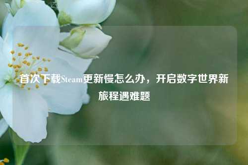 首次下载Steam更新慢怎么办,开启数字世界新旅程遇难题