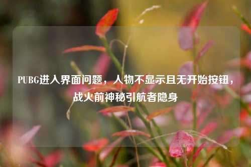 PUBG进入界面问题,人物不显示且无开始按钮,战火前神秘引航者隐身